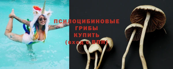 таблы Алзамай