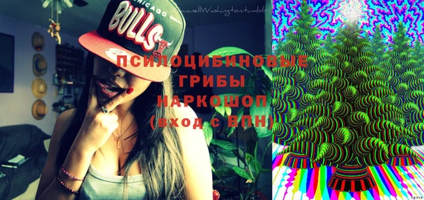 ешки Алексеевка