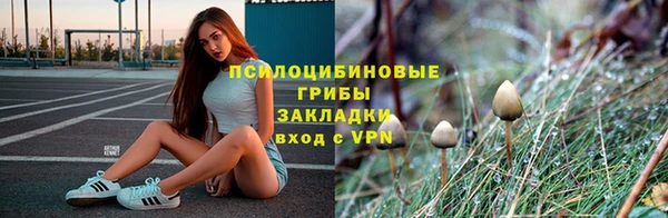 ешки Алексеевка